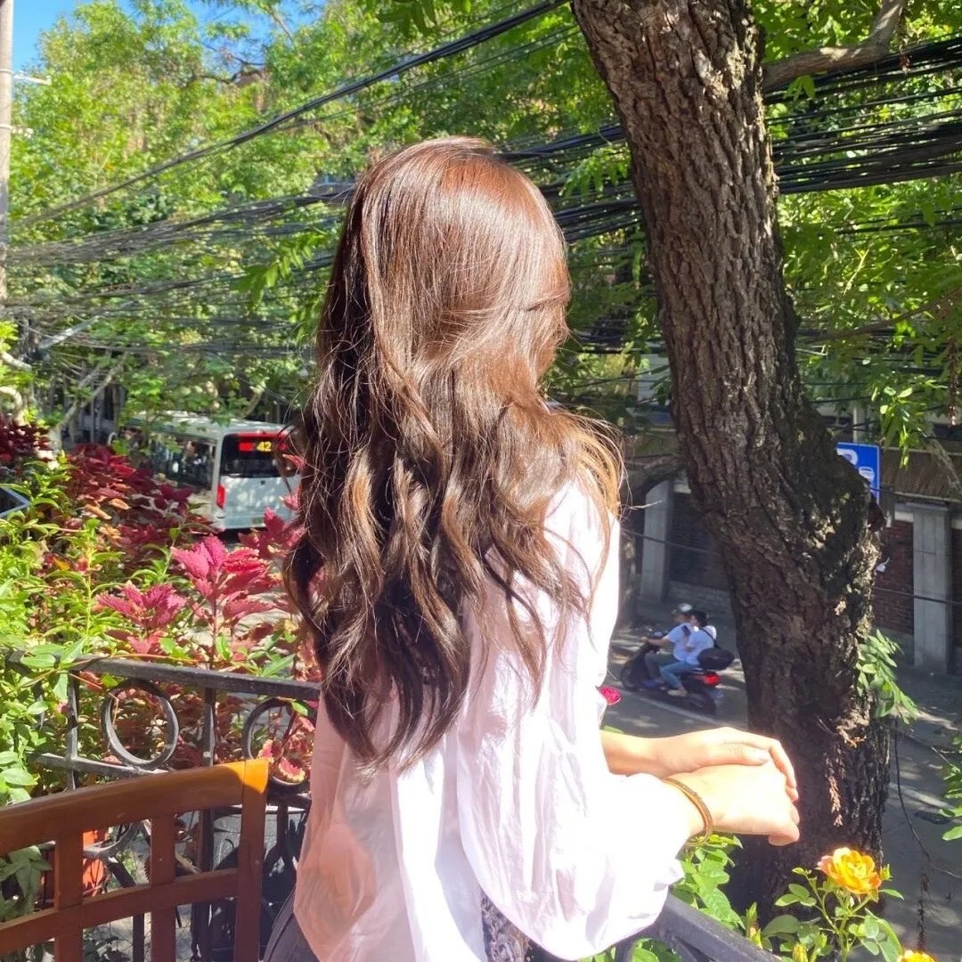 小乌龟福兰克林